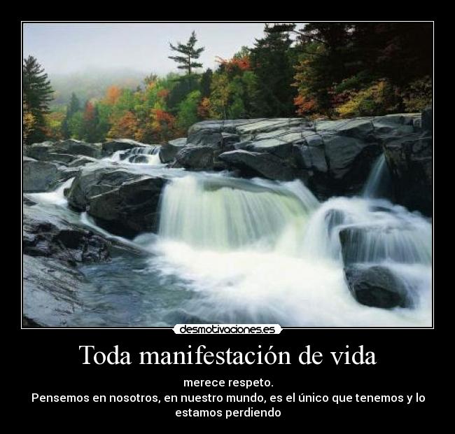 Toda manifestación de vida -