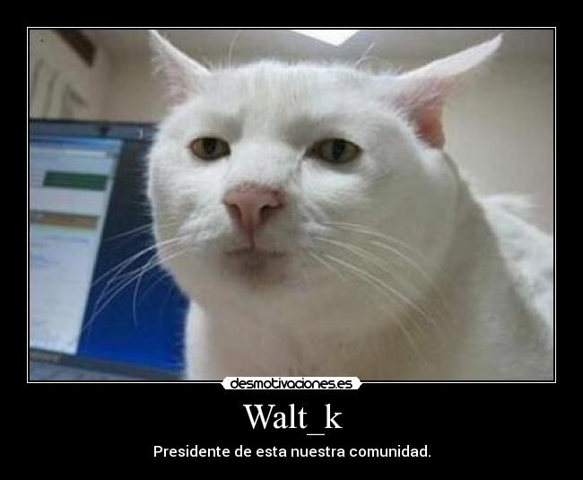 Walt_k - Presidente de esta nuestra comunidad.
