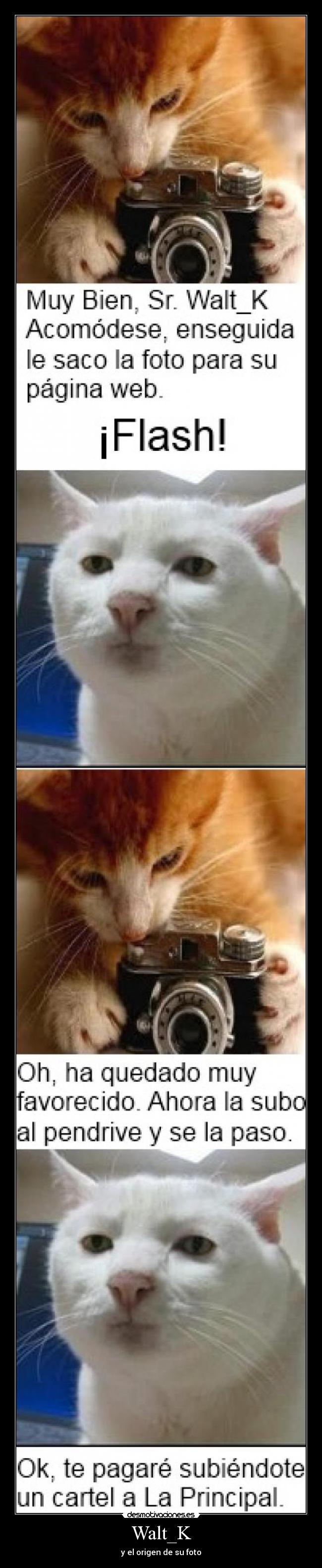 Walt_K - y el origen de su foto
