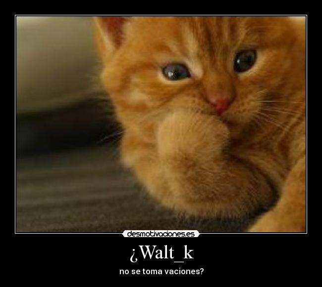 ¿Walt_k - 