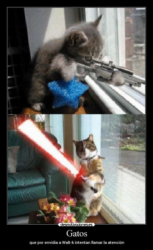 Gatos - que por envidia a Walt-k intentan llamar la atención