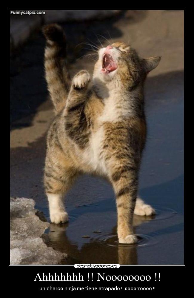 Ahhhhhhh !! Noooooooo !! -