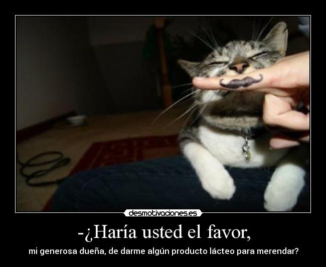 -¿Haría usted el favor, -