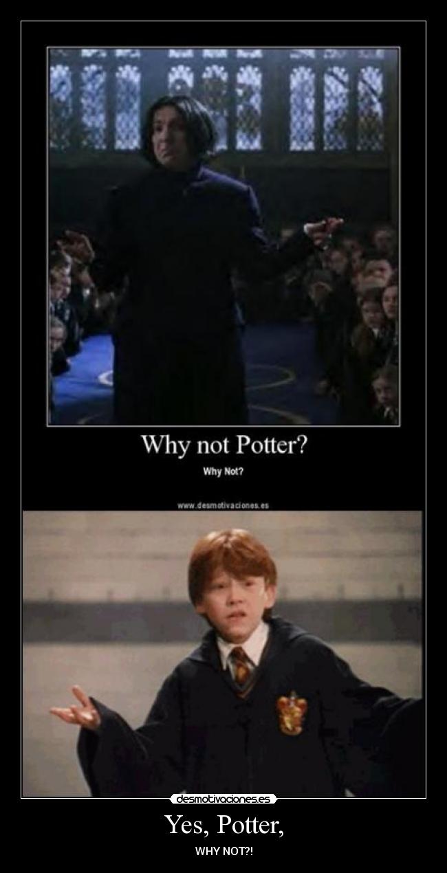 Yes, Potter, -
