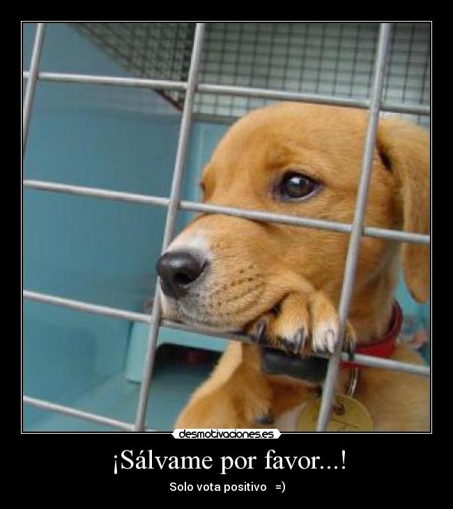 ¡Sálvame por favor...! -