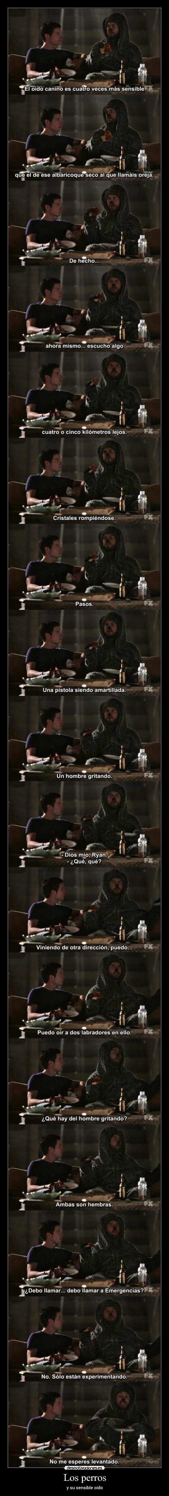 Los perros - y su sensible oído