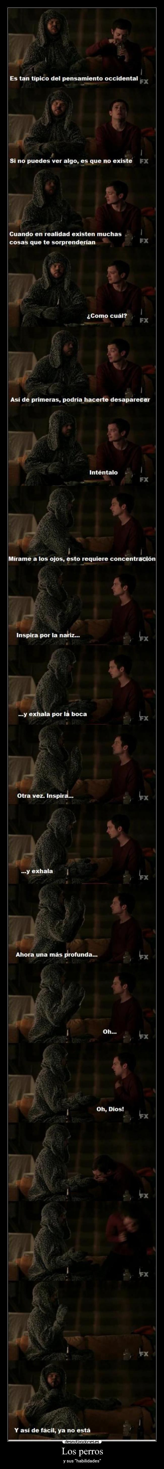 Los perros - y sus habilidades