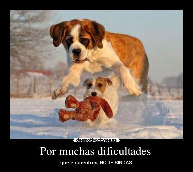 Por muchas dificultades - que encuentres, NO TE RINDAS.