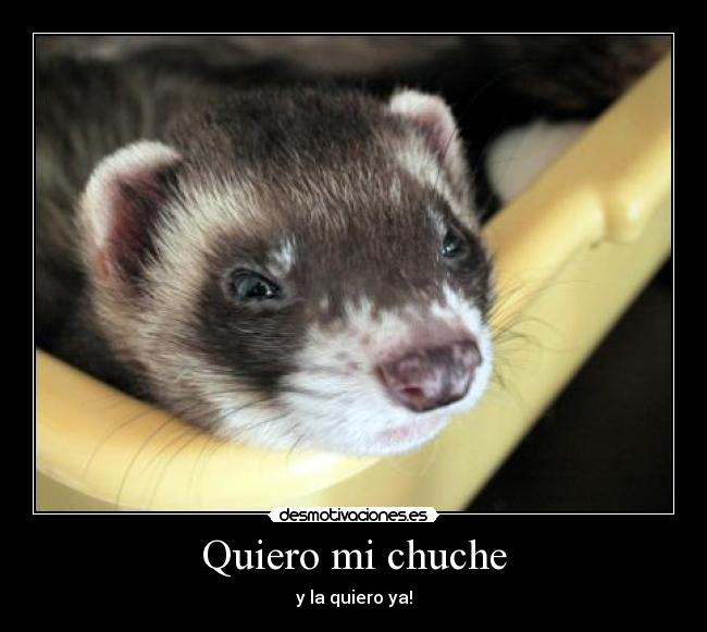 Quiero mi chuche - 