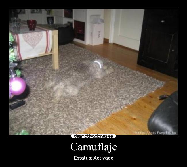 Camuflaje -