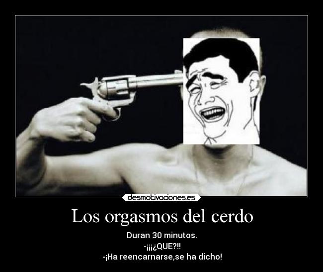 Los orgasmos del cerdo - Duran 30 minutos.
-¡¡¡¿QUE?!!
-¡Ha reencarnarse,se ha dicho!