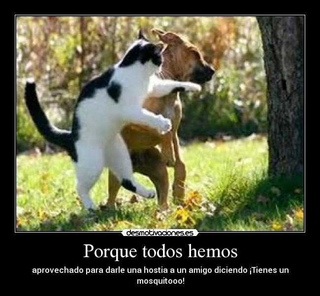 Porque todos hemos - aprovechado para darle una hostia a un amigo diciendo ¡Tienes un mosquitooo!