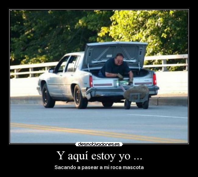 Y aquí estoy yo ... - Sacando a pasear a mi roca mascota