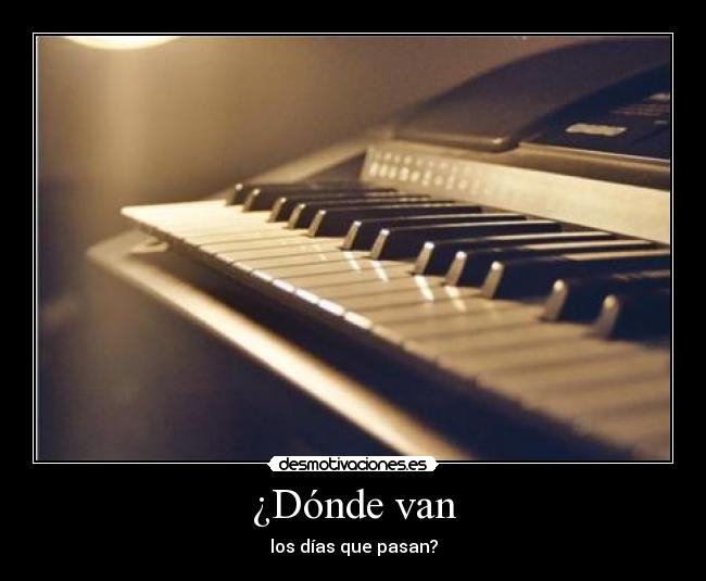 ¿Dónde van - 