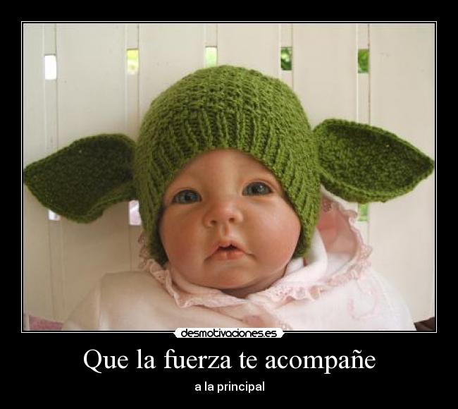 Que la fuerza te acompañe - a la principal