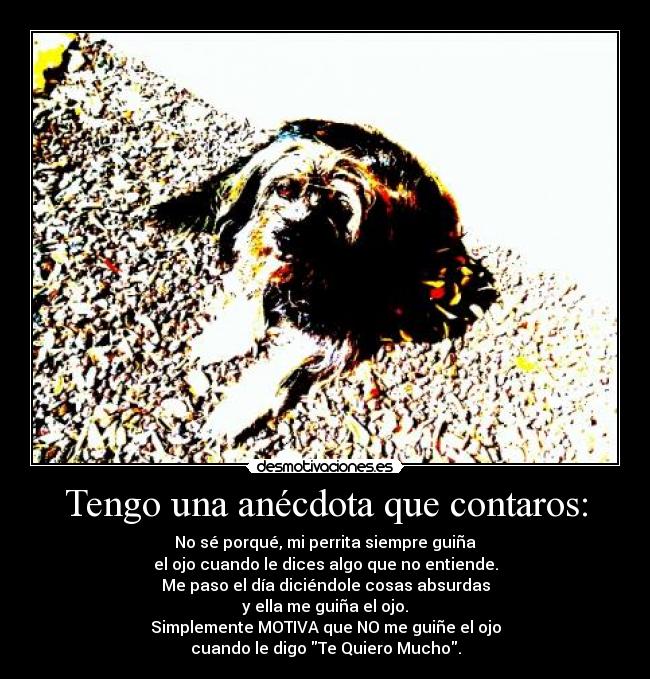 Tengo una anécdota que contaros: -