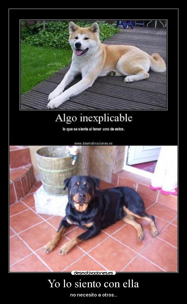 carteles duque desmotivaciones