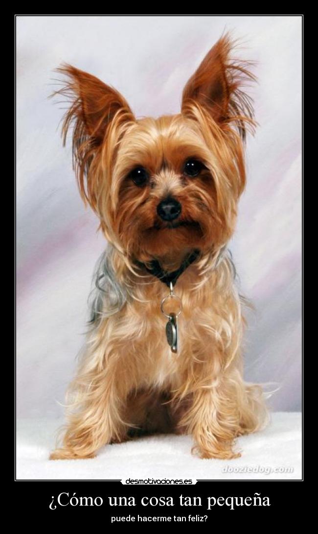 ¿Cómo una cosa tan pequeña -