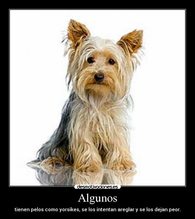 Algunos - 