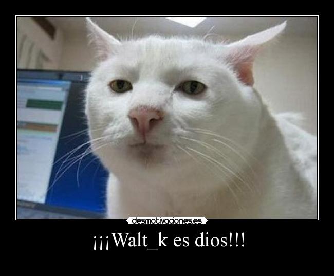 ¡¡¡Walt_k es dios!!! - 