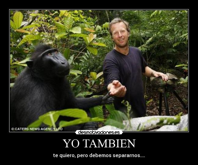 YO TAMBIEN - 