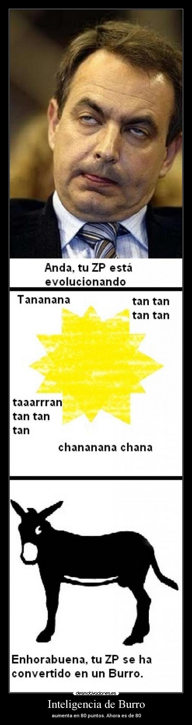 Inteligencia de Burro - aumenta en 80 puntos. Ahora es de 80