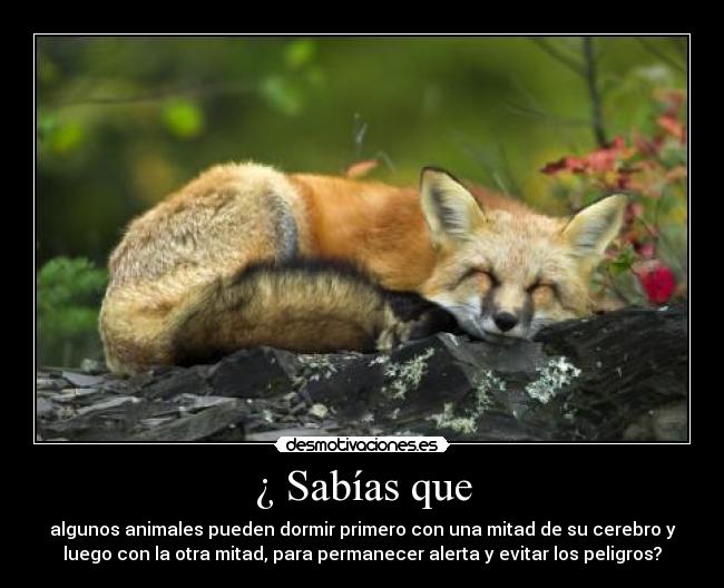 carteles sayol210809 desmotivaciones