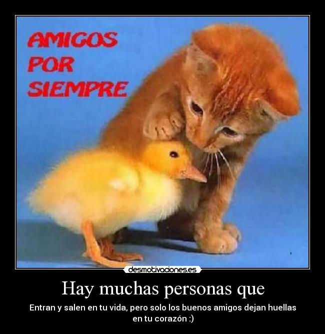 Hay muchas personas que -