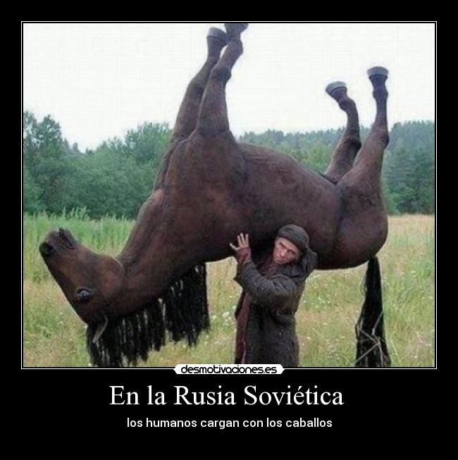 En la Rusia Soviética  - los humanos cargan con los caballos
