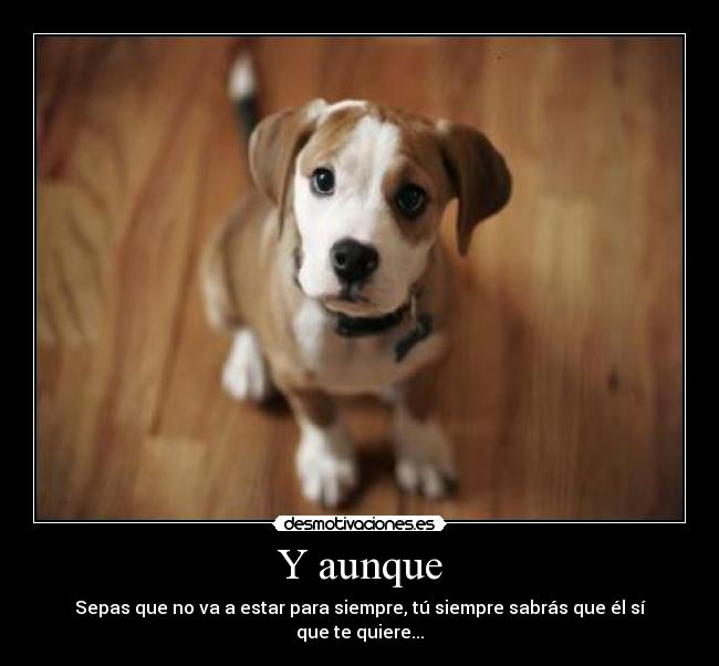 Y aunque - 
