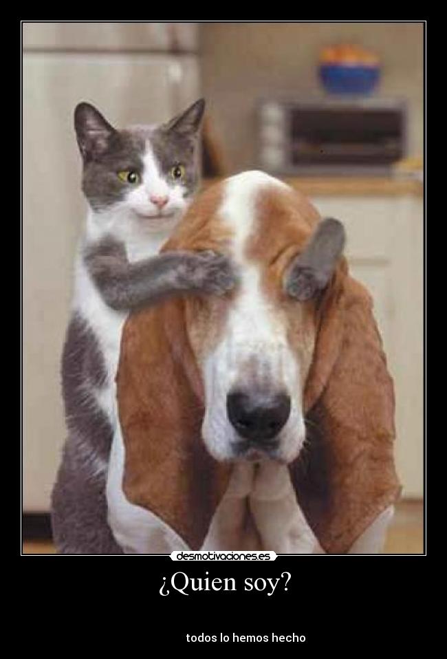¿Quien soy? -