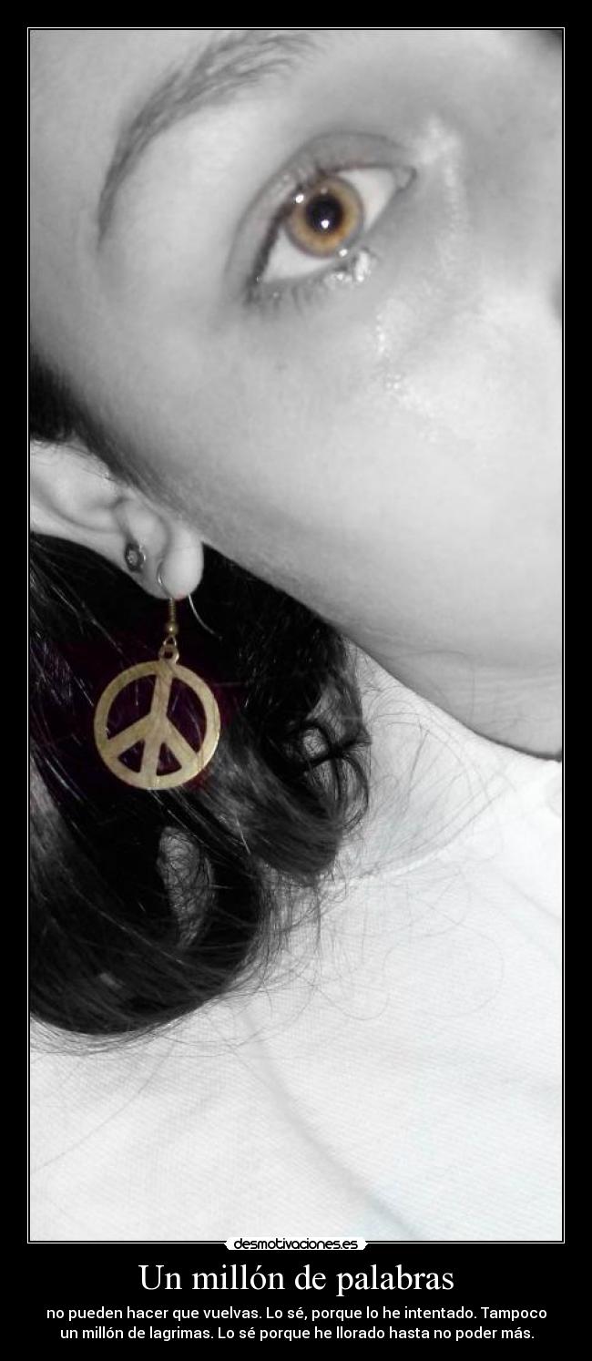 Un millón de palabras - no pueden hacer que vuelvas. Lo sé, porque lo he intentado. Tampoco
un millón de lagrimas. Lo sé porque he llorado hasta no poder más.