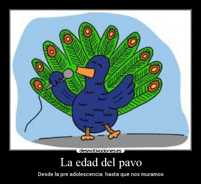 La edad del pavo -