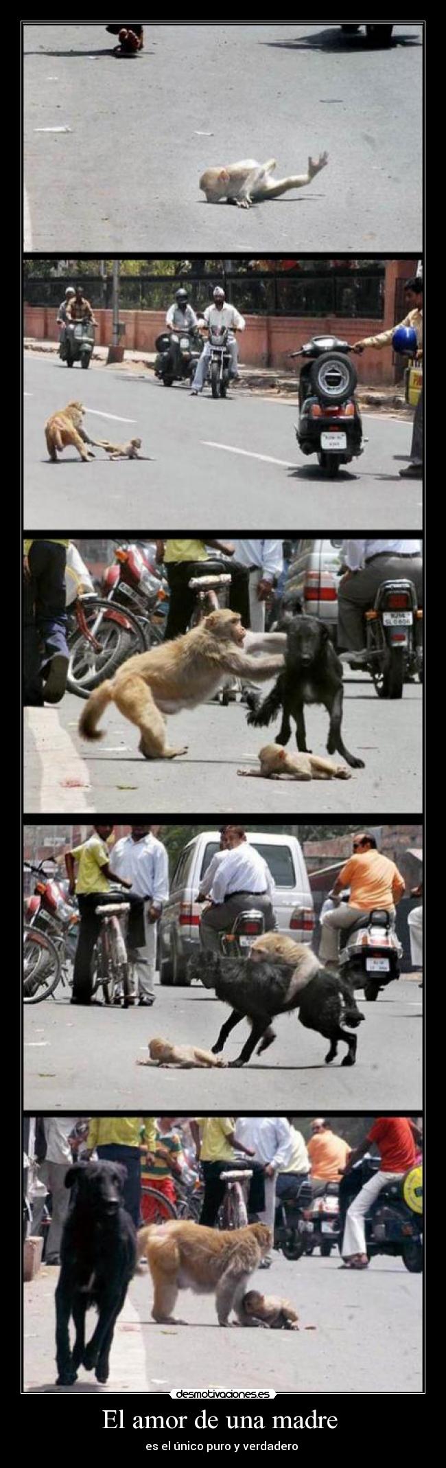 El amor de una madre  - 