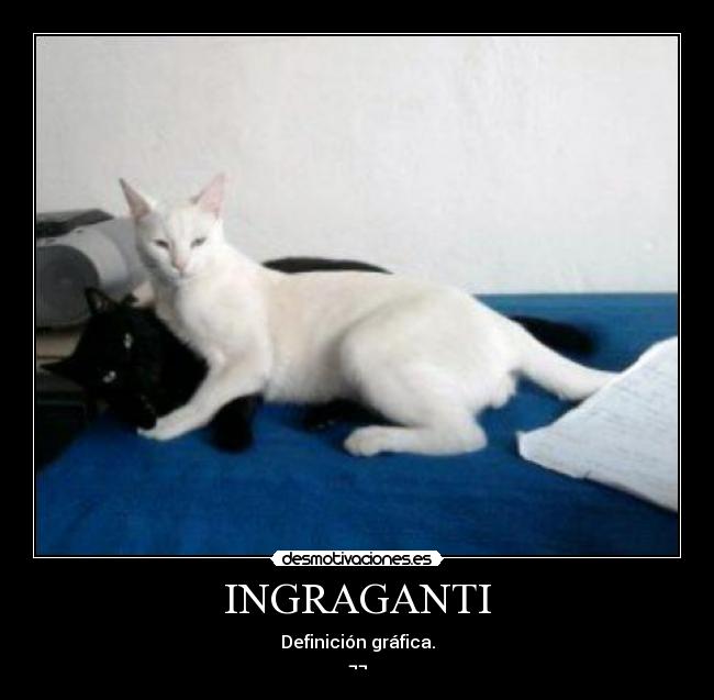 carteles infraganti desmotivaciones