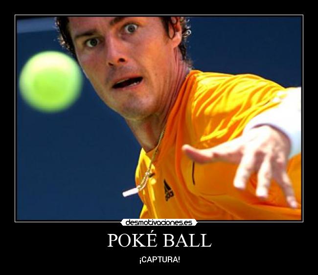 POKÉ BALL - ¡CAPTURA!