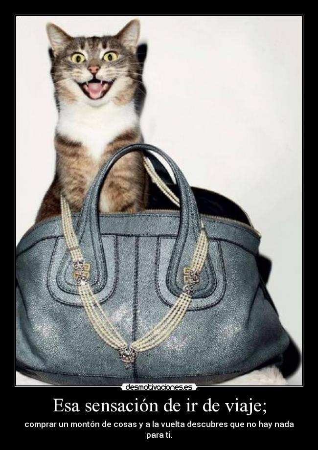 Esa sensación de ir de viaje; -