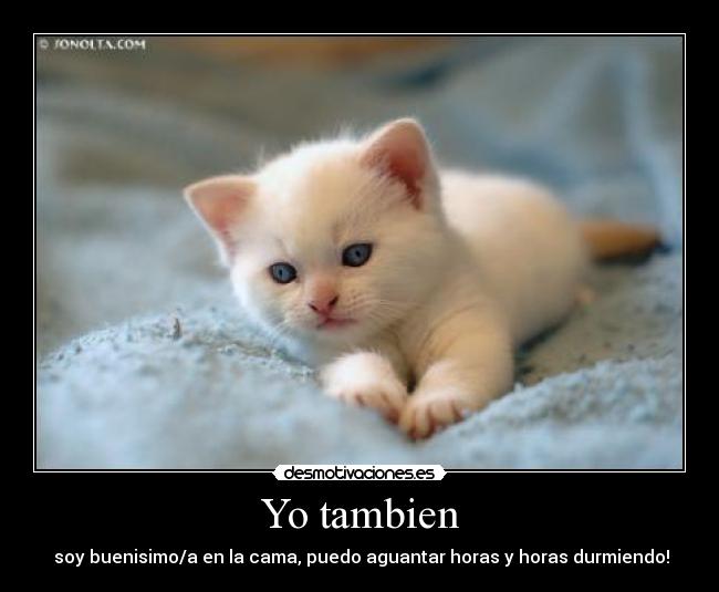 Yo tambien - soy buenisimo/a en la cama, puedo aguantar horas y horas durmiendo!