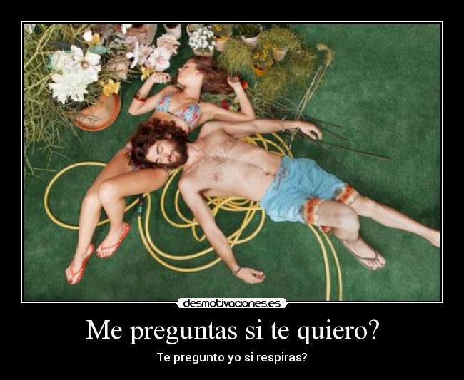 Me preguntas si te quiero? - 