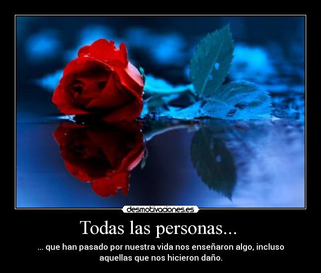 carteles personas vida ensenado dano desmotivaciones