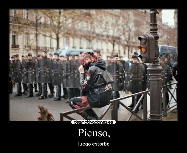 Pienso, - 