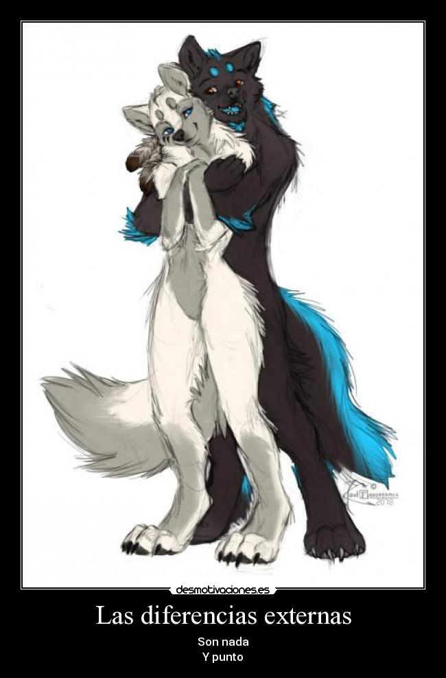Las diferencias externas -