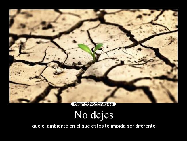 No dejes -
