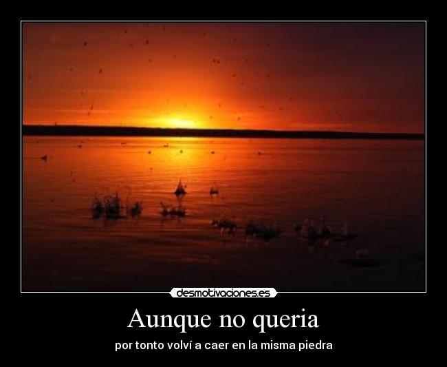 Aunque no queria -