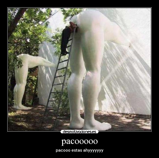 pacooooo - pacooo estas ahyyyyyyy