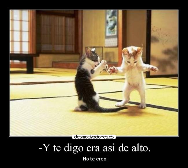 -Y te digo era asi de alto. - -No te creo!