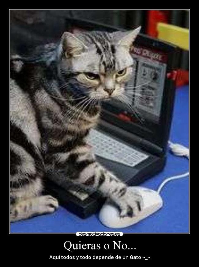 Quieras o No... -