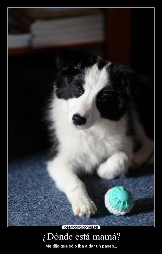 ¿Dónde está mamá? - Me dijo que sólo iba a dar un paseo...