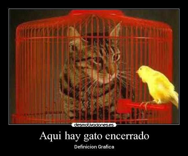Aqui hay gato encerrado - Definicion Grafica