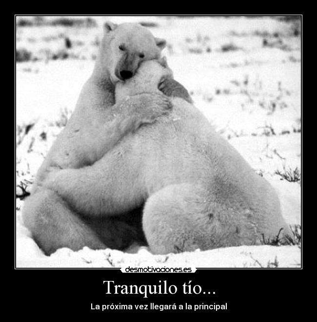 Tranquilo tío... - La próxima vez llegará a la principal